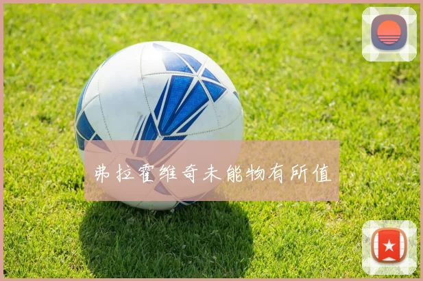 弗拉霍维奇未能物有所值